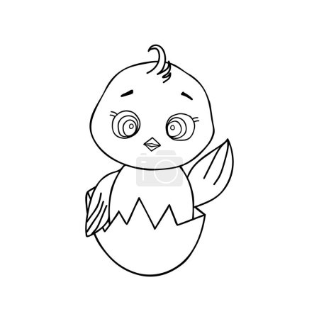 Ilustración de Funny and cute newborn chicken in broken egg shell. For coloring book. Cute vector illustration - Imagen libre de derechos