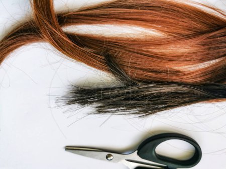 Foto de Hebra de pelo negro y marrón con tijeras un fondo blanco - Imagen libre de derechos
