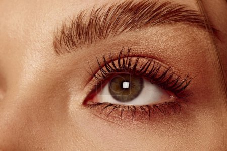 Mirando hacia arriba. Primer plano de hermosos ojos femeninos marrones. Perfecta ceja de moda. Concepto de visión, lentes de contacto, concepto de maquillaje de cejas de moda. Macro, detalles