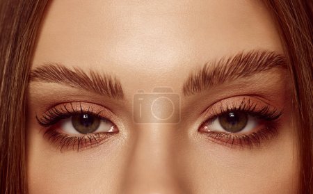Photo for Sensual look. Close up of beautiful brown female eyes. Perfect trendy eyebrow. Concept of vision, contact lenses, trendy eyebrow makeup concept. - Royalty Free Image
