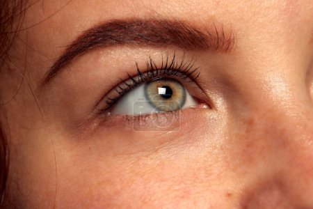 ¡Mira! Primer plano de hermosos ojos femeninos de color verde-marrón mirando hacia arriba. Salud. Concepto de visión, lentes de contacto, maquillaje de cejas, atención médica. Póster, anuncio