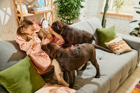 Foto de Dos niñas encantadoras, niños jugando con dos perros de raza pura, labrador marrón en casa. Feliz risa. Concepto de familia, infancia, mascotas, cuidado, amistad, emociones. ocio, estilo de vida - Imagen libre de derechos