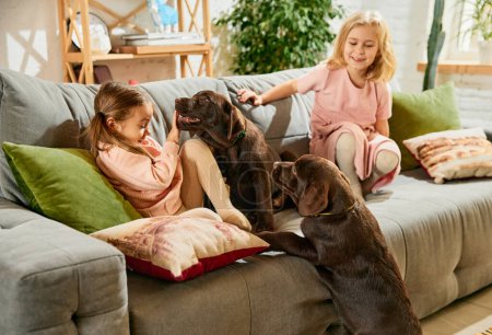 Foto de Dos niñas encantadoras, niños, hermanas sentadas en el sofá y jugando con dos perros de raza pura, labrador marrón en casa. Concepto de familia, infancia, mascotas, cuidado, amistad, emociones. ocio - Imagen libre de derechos
