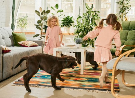 Foto de Dos niñas encantadoras, niños jugando con dos perros de raza pura, labrador marrón en casa, corriendo alrededor de la mesa. Concepto de familia, infancia, mascotas, cuidado, amistad, emociones. ocio - Imagen libre de derechos