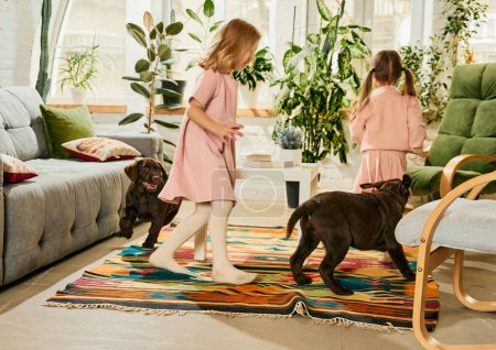 Photo for Two lovely little girls, children running with two purebred dogs, brown labrador at home. Playing catch-up game. Concept of family, childhood, pets, care, friendship, emotions. leisure - Royalty Free Image