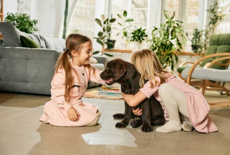 Foto de Dos niñas encantadoras, niños jugando, abrazando a un hermoso perro de raza pura, labrador marrón en casa. Felicidad. Concepto de familia, infancia, mascotas, cuidado, amistad, emociones y ocio - Imagen libre de derechos