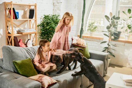 Photo for Two lovely little girls, children sitting on sofa, playing with two purebred dogs, brown labrador at home. Animal friend. Concept of family, childhood, pets, care, friendship, emotions, leisure - Royalty Free Image