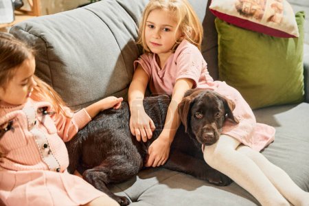 Foto de Dos niñas encantadoras, niños jugando, abrazando perro de raza pura, labrador marrón en casa. Descanso de día. Concepto de familia, infancia, mascotas, cuidado, amistad, emociones y ocio - Imagen libre de derechos