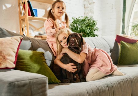 Foto de Dos niñas encantadoras, niños jugando, abrazando perro de raza pura, labrador marrón en casa. Cuidado de animales. Concepto de familia, infancia, mascotas, cuidado, amistad, emociones y ocio - Imagen libre de derechos