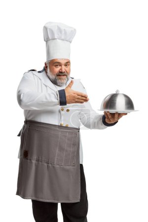 Photo for Portrait of bearded man, restaurant chef in uniform serving dish isolated on white background. Professional. Concept of profession, occupation, hobby, lifestyle, taste. Ad - Royalty Free Image