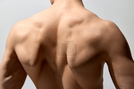 Téléchargez les photos : Relief, strong, muscular back. Male model posing shirtless isolated over light grey studio background. Cropped photo. Concept of mens health and beauty, body and skin care, fitness. Body art - en image libre de droit