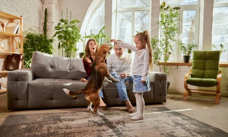 Foto de Playful smart dog following commands. Little girl playing with beagle on living room in sunny day. Parents playing with child and dog. Relationship, family, parenthood, childhood, animal life concept - Imagen libre de derechos