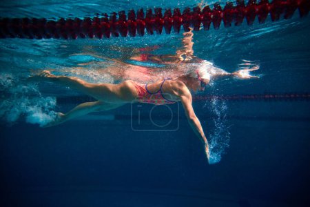 Foto de Coordinated movements, speed. Professional female swimmer training in swimming pool indoor. Underwater view. Concept of sport, endurance, competition, energy, healthy lifestyle - Imagen libre de derechos