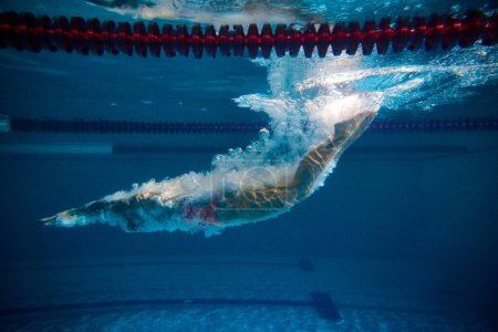 Foto de Diving into water. Professional female swimmer training in swimming pool indoor. Underwater view. Developing speed. Concept of sport, endurance, competition, energy, healthy lifestyle - Imagen libre de derechos