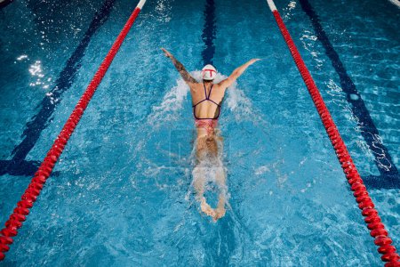 Photo for Top, aerial view of professional female swimming athlete training, swimming in pool indoors. Fast and strong. Concept of sport, endurance, competition, energy, healthy lifestyle, power - Royalty Free Image