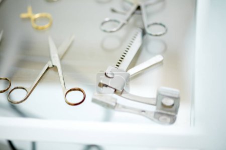 Photo for Surgical instrumets lying on table at vet clinic. Detailed shot of steralized surgery tools. Concept of medicine, veterinary, pets care, health, profession, occupation - Royalty Free Image