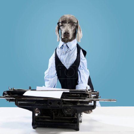 Boshafter Hund. Porträt eines Weimaraners als Geschäftsmann mit Brille, der in der Nähe einer Schreibmaschine vor blauem Studiohintergrund posiert. Humorvolle Darstellung eines Haustieres des Chefs. Geschäftskonzept, Tierpflege, Werbung