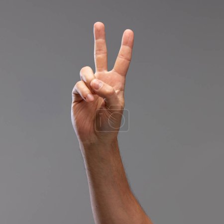 Téléchargez les photos : Mains masculines montrant un geste de paix sur fond gris. Salutations, acceptation, positivité et bon moment. Concept de relation humaine, communauté, symbolisme, culture, communication - en image libre de droit