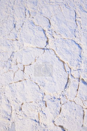 Photo for Top view image of beige powder, pieces elements. Background, wallpaper, design, banner, poster. Vertical layout. Creative art photography. Abstract nature background. Copy space for ad - Royalty Free Image