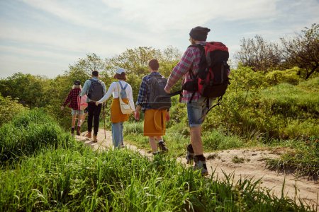Foto de Jóvenes, grupo de amigos en ropa cómoda con mochilas caminando en el bosque, haciendo senderismo en el cálido día de verano. Concepto de estilo de vida activo, naturaleza, deporte y hobby, amistad - Imagen libre de derechos