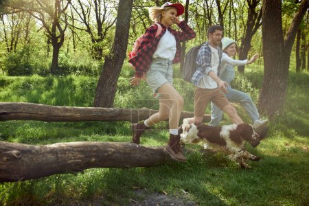 Foto de Grupo de jóvenes, amigos paseando por el bosque, haciendo senderismo en un cálido día soleado, saltando sobre un gran árbol con perro. Concepto de estilo de vida activo, naturaleza, deporte y hobby, amistad - Imagen libre de derechos
