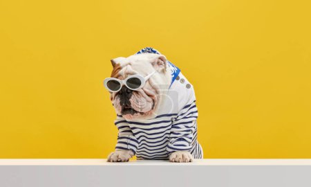 Foto de Vacaciones de verano. Perro de pura raza, elegante, bulldog inglés de pura raza con camisa a rayas y gafas de sol sobre fondo de estudio amarillo. Concepto de animales, humor, moda de mascotas, veterinario, estilo, anuncio - Imagen libre de derechos