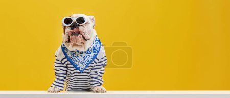 Photo for Purebred, serious, brutal, stylish dog, purebred english bulldog wearing striped shirt and sunglasses against yellow studio background. Concept of animals, humor, pets fashion, vet, style, ad - Royalty Free Image
