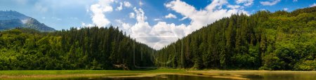 Photo for Idyllic, perfect place for vacation. Beautiful forest and mountains with lake. Sunny summer day. Panoramic landscape. Concept of nature aesthetics, travelling, beuaty. Wallaper, background. - Royalty Free Image