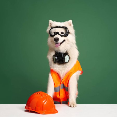 Photo for Beautiful, white, purebred Samoyed dog in orange waistcoat, helmet and mask sitting against green studio background. Concept of animals, pets fashion, style, fun and humor, vet. Copy space for ad - Royalty Free Image