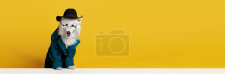 Téléchargez les photos : Beau chien Samoyed pur sang dans des lunettes, un chapeau et un manteau vert sur fond de studio jaune. Concept d'animaux, animaux de compagnie mode, style, plaisir et humour, vétérinaire. Espace de copie pour l'annonce. Bannière - en image libre de droit