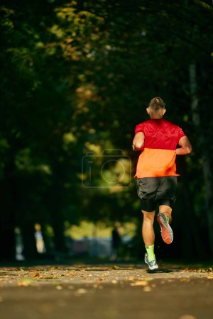 Photo for Sunny morning outdoor training. Back view. Muscular, athletic man in sportswear, runner in motion, running in city park. Concept of sport, active and healthy lifestyle, competition, dynamics, marathon - Royalty Free Image