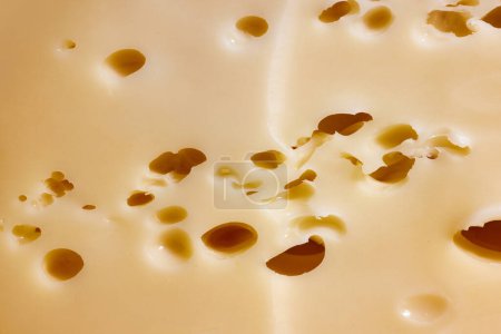 Photo for Texture of cheese with wholes, emmental, maasdam, radamer. Close-up image o delicious cheese. Organic swiss cheese. Concept of food, taste, art of organic products, healthy, natural food. - Royalty Free Image