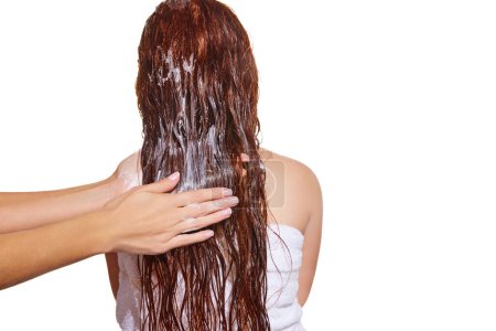 Photo for Back view. Female hands washing long hair with shampoo against white studio background. Vitamins and nutrition. Concept of beauty, hair care, treatment, natural cosmetics. Copy space for ad - Royalty Free Image