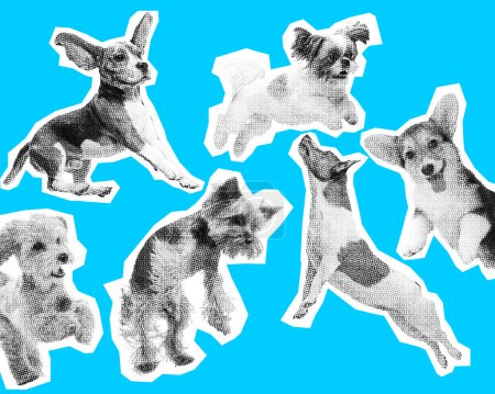 Photo for Cute, little, adorable puppies, dogs jumping, playing over blue background. Happiness and joy. Ads. Contemporary art collage. Concept of animal and veterinary, imagination. Poster. Magazine style - Royalty Free Image