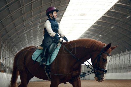 Photo for Little girl, kid, equestrian sitting in special uniform and helmet on horse, training on pavilion, learning horseback riding. Concept of sport, childhood, school, course, active lifestyle, hobby - Royalty Free Image