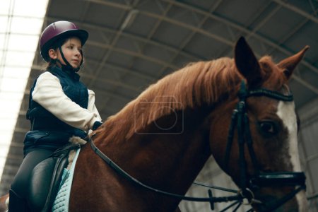 Foto de Retrato de niña, niño en casco sentado en caballo marrón, entrenamiento, práctica de montar a caballo. Concepto de deporte, infancia, escuela, curso, estilo de vida activo, hobby - Imagen libre de derechos
