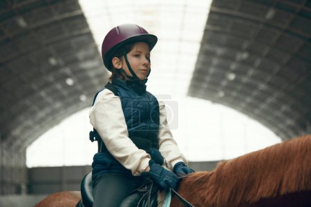 Photo for Portrait of little girl, child in helmet sitting on brown horse, training, practicing horseback riding. Concept of sport, childhood, school, course, active lifestyle, hobby - Royalty Free Image