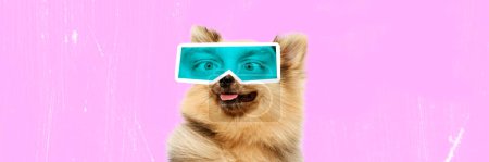 Photo for Contemporary art collage. Pomeranian Schpitz with male eyes expressing funny emotions in mint filter. Animals with human facial expression. Concept of surrealism, fun and humor, inspiration. Banner. - Royalty Free Image