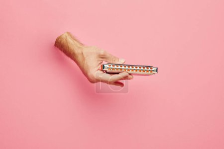 Photo for Male hands sticking out pink background and playing harmonica. Blues music festival promotion with a focus on harmonica artists. Concept of music, instruments, art, hobby, festival, performance - Royalty Free Image