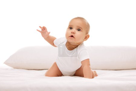 Photo for Little baby child, girl, infant crawling on bed with pillow, looking upwards with attention and curiosity against white background. Concept of childhood, family, care, motherhood, infancy, heath - Royalty Free Image
