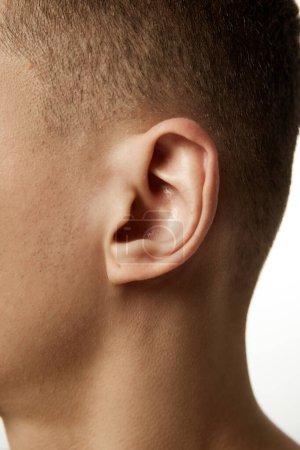 Foto de Primer plano de la oreja masculina con vista detallada de la aurícula y el lóbulo de la oreja sobre fondo de estudio blanco. Concepto de procedimientos de belleza, salud masculina, cuidado corporal, tratamiento de spa, higiene. - Imagen libre de derechos