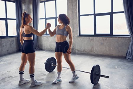 Photo for Two fit women with athletic bodies give each other high-five in gym stands next to barbell on floor. Partnership and support. Concept of professional sport, active lifestyle, bodybuilding. Ad - Royalty Free Image