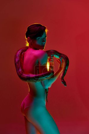 Téléchargez les photos : Belle jeune femme torse nu avec un corps mince posant avec un serpent sur fond rouge studio en lumière au néon. Un regard intense. Concept de beauté féminine, thème animal, soins, élégance, mode - en image libre de droit