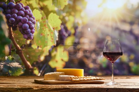 Harmony of wine and cheese. Glass with red wine and cheeses on wooden board as appetizers with grapes trees on background. Concept of winemaking, organic beverage, nature, traditions