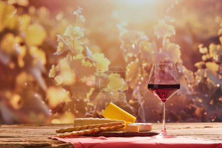 Téléchargez les photos : Verre de vin rouge, fromage et bâtonnets de pain sur table en bois avec vignoble, branches de raisin sur fond à travers la lumière du soleil. Concept de vinification, boisson bio, nature, traditions - en image libre de droit