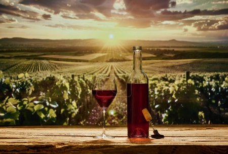 Téléchargez les photos : Bouteille de vin rouge et verre sur table en bois. Rangées de vignes dans le vignoble sur fond. Essence de la vinification. Concept de vinification, boisson bio, paysage naturel, traditions - en image libre de droit