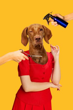 Purebred dog muzzle placed on human body having grooming services doe, stylish hair, having haircut. Contemporary art collage. Concept of animal care, pet wellness, surrealism, grooming service