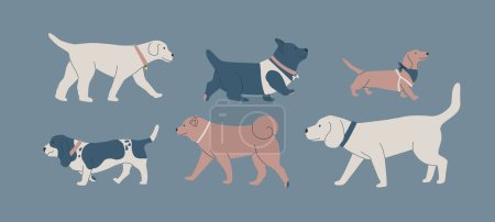 Eine Gruppe verschiedener Hunde. Nette Hunde verschiedener Rassen. Hundeausstellung oder Hundespaziergang in der Stadt oder im Park. Vektorgrafik mit flacher Kontur.