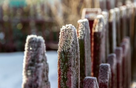 Photo for Wooden fence in the garden covered with morning white frost. - Royalty Free Image