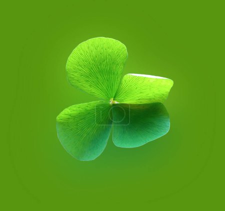 Photo for Top view, Single shamrock flower green color(oxalis corniculata) blossom bloom isolated on green background, stock photo, flora summer, st patrick day - Royalty Free Image